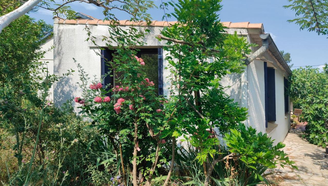 Chambre Privee Dans Maison En Garrigue Нім Екстер'єр фото
